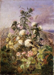 Un cardellino e una farfalla tra i cardi e i fiori di mora