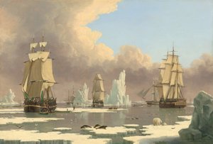 La pesca della balena del nord: Il cigno e Isabella
