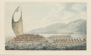 Tereoboo, re di Owyhee, porta doni al Capitano Cook, da una serie di acquerelli che illustrano l