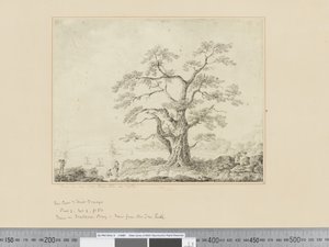 F.44 Vista sulla riva del mare, grande albero al centro, c.1783-84 da John Webber