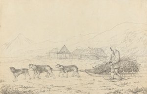 La Narta o slitta per carichi in Kamtschatka
