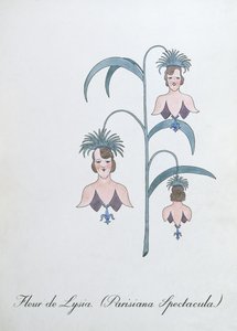 Fleur de Lysia (Parisiana Spectacula), illustrazione da 