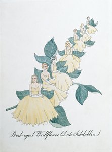 Wallflower dagli occhi rossi (Late Subdebbia), illustrazione da 