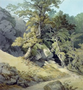 Canonteign, Devon da John White Abbott