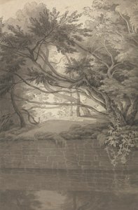 Alberi che Sovrastano un Lago da John White Abbott
