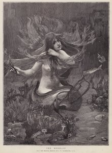 La sirena da John William (after) Waterhouse
