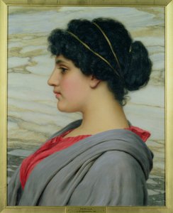 Perilla