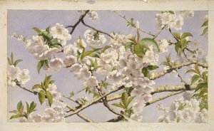 Fiori di melo, c.1874