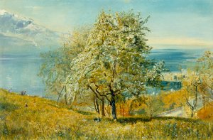 Un lago alpino da John William Inchbold