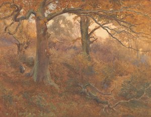 Paesaggio forestale da John William North