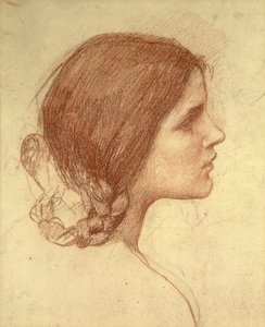 Testa di una ragazza, c.1905 da John William Waterhouse