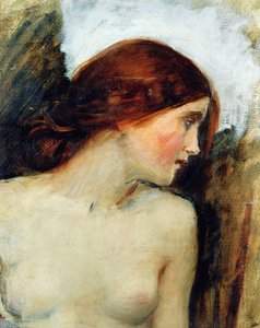Studio per la testa di Eco, c.1903 da John William Waterhouse