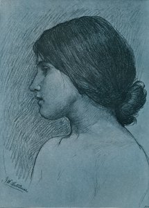 Studio di una Testa, c1899 da John William Waterhouse
