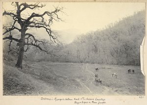Provincia di Razavi Khorasan, Iran, c.1908 (foto in bianco e nero) da John Williams Watson