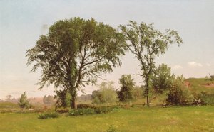 Wallingford, Connecticut, 1867 da John Williamson