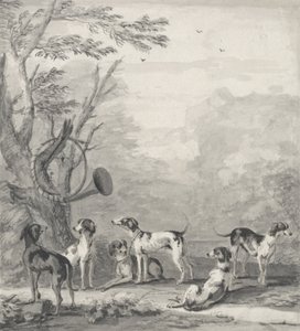 Cani in un Paesaggio da John Wootton