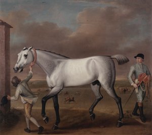 Il cavallo da corsa grigio del duca di Hamilton 