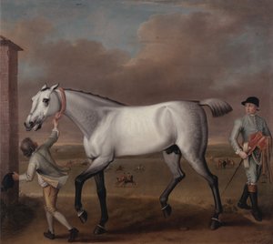 Il cavallo da corsa grigio del Duca di Hamilton, "Victorious", a Newmarket da John Wootton