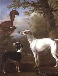 Due cani da caccia attratti da uno scoiattolo su un ceppo d