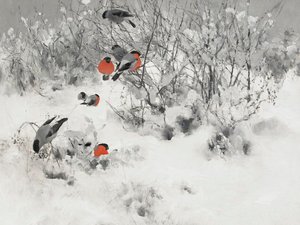 Fringuelli rossi nella neve da Jolly and Dash