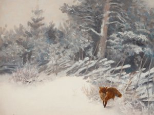 Volpe della foresta invernale da Jolly and Dash