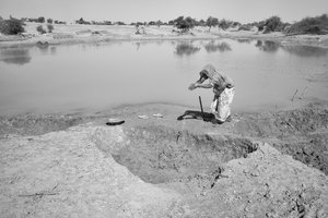 Fabbriche di mattoni in Rajasthan, India, 2016 (foto) da Jon Nicholson
