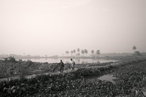 Pesca nelle zone umide a Kolkata, 2016 (foto)