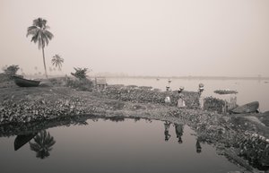 Pesca nelle zone umide a Kolkata, 2016 (foto)
