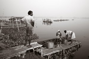 Pesca nelle zone umide a Kolkata, 2016 (foto)