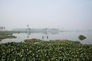Pesca nelle zone umide a Kolkata, 2016 (foto) da Jon Nicholson