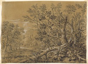 Ruscello attraverso una foresta antica