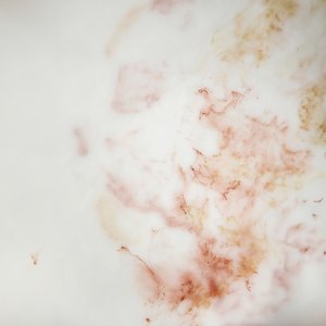 Flusso di marmo biologico da Jonas Weikel