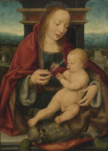 Olandese: Maria met wijndrinkend tipo Vergine e bambino / Vergine e bambino che bevono vino da Joos van Cleve