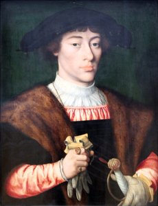 Ritratto di un giovane uomo da Joos van Cleve