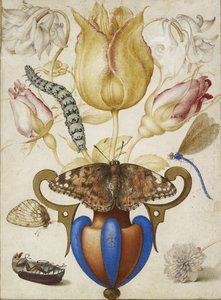 Composizione di fiori in un vaso, con insetti, 1594 da Joris Hoefnagel
