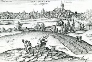 Cava di ardesia ad Angers, 1561