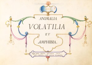 Pagina del Titolo da Joris Hoefnagel