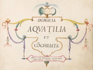 Pagina del titolo da Joris Hoefnagel
