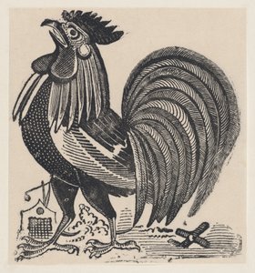 Un gallo, ca. 1880-1910