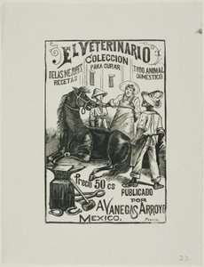 Il veterinario
