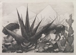 Indiani e piante di Magney