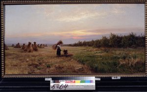 Mietitura nella luce della sera