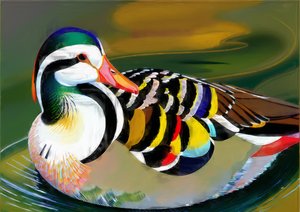 Animali: anatra mandarina 3