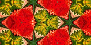 Creature: Api nel giardino delle rose da Josef Johann Michel