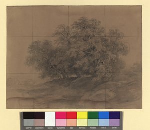Gruppo di alberi - con griglia di ingrandimento da Josef Kriehuber