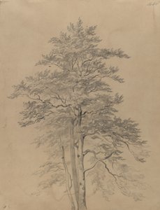  da Josef Kriehuber