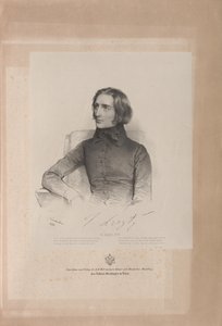 Ritratto di Franz Liszt 1811-1886, 1838