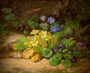 Piccolo pezzo floreale (fiori alpini)