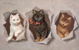 Cartolina di gatto da Josef Sperlich