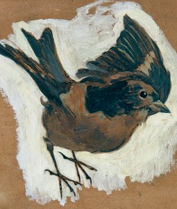 Passero da Josef Wawra